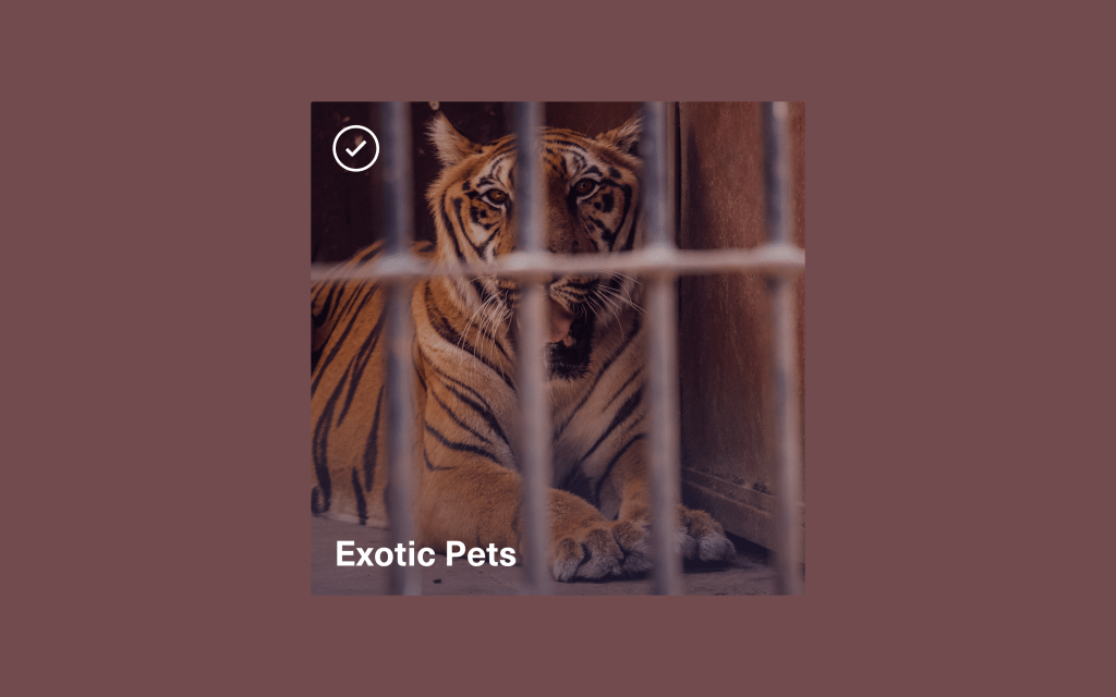 Vocal Verified—Exotic Pets Vocal Verified—Exotic Pets