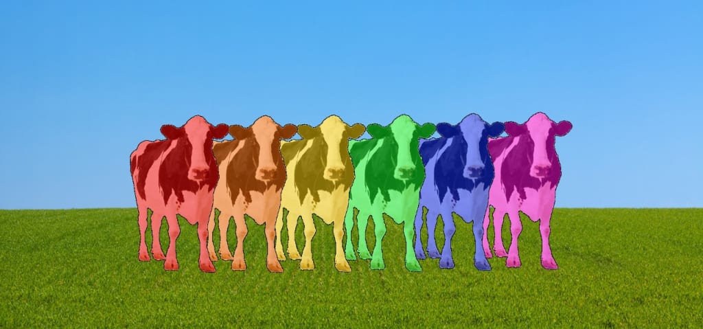 Top Ten LGBT+ Animals Top Ten LGBT+ Animals
