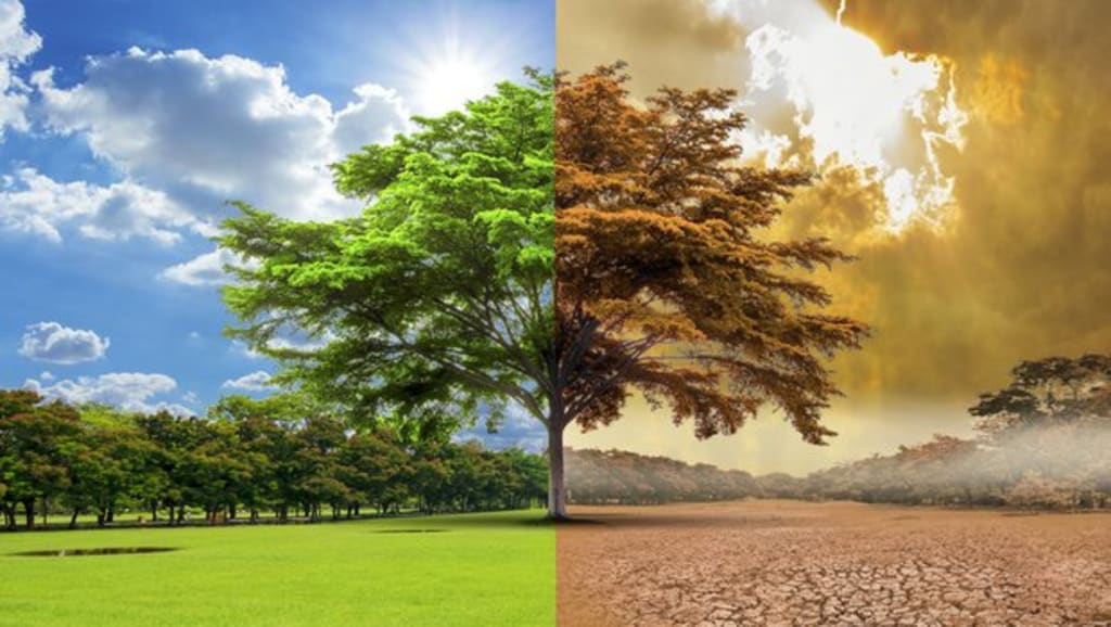 Environmental Society Environmental Society