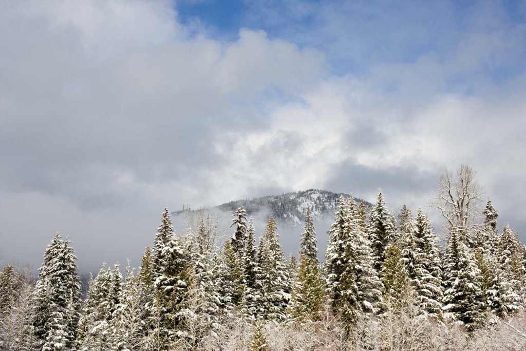 Five Best Tips for Traveling to British Columbia Five Best Tips for Traveling to British Columbia