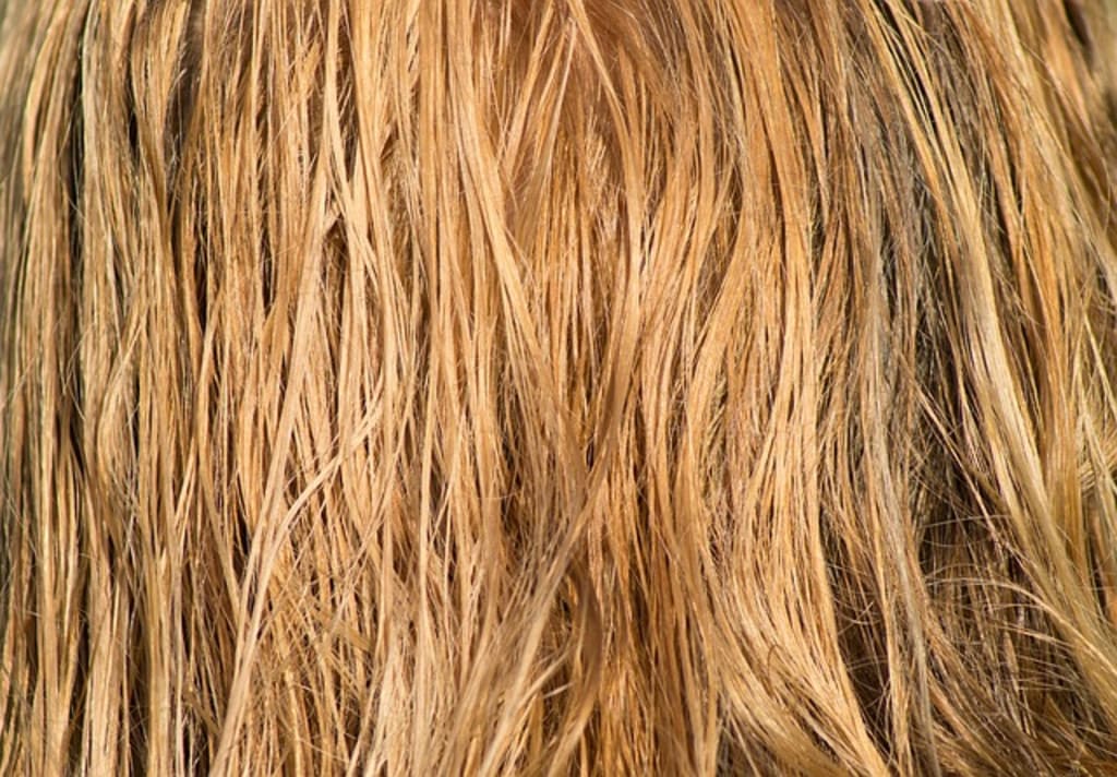 That Fetish for Hairy Vagina That Fetish for Hairy Vagina