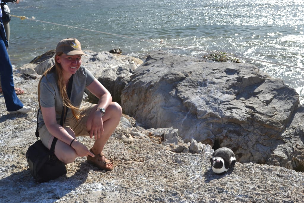 Why You Should — and Shouldn't — Volunteer With Wildlife Why You Should — and Shouldn't — Volunteer With Wildlife