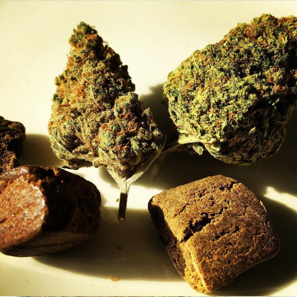 The Ultimate High: Hash vs Weed The Ultimate High: Hash vs Weed