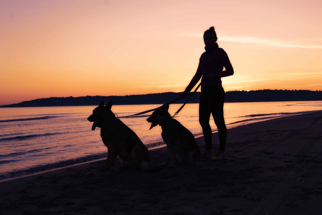 New Pet Trends You Need ASAP New Pet Trends You Need ASAP