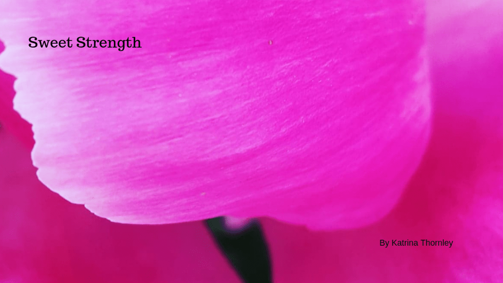 Sweet Strength Sweet Strength