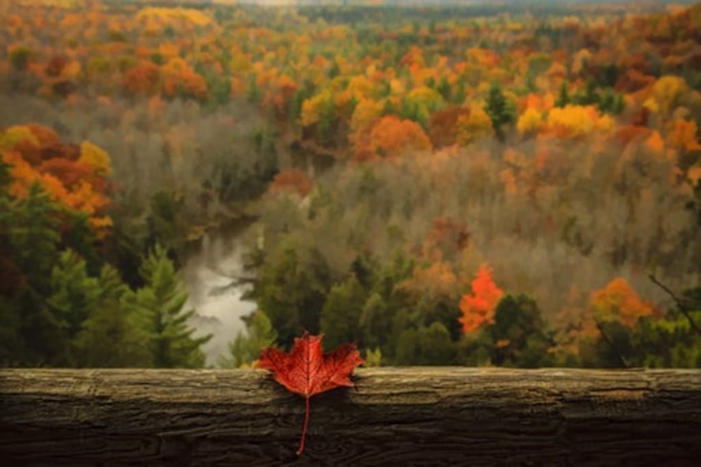 Autumnal Paradise Autumnal Paradise