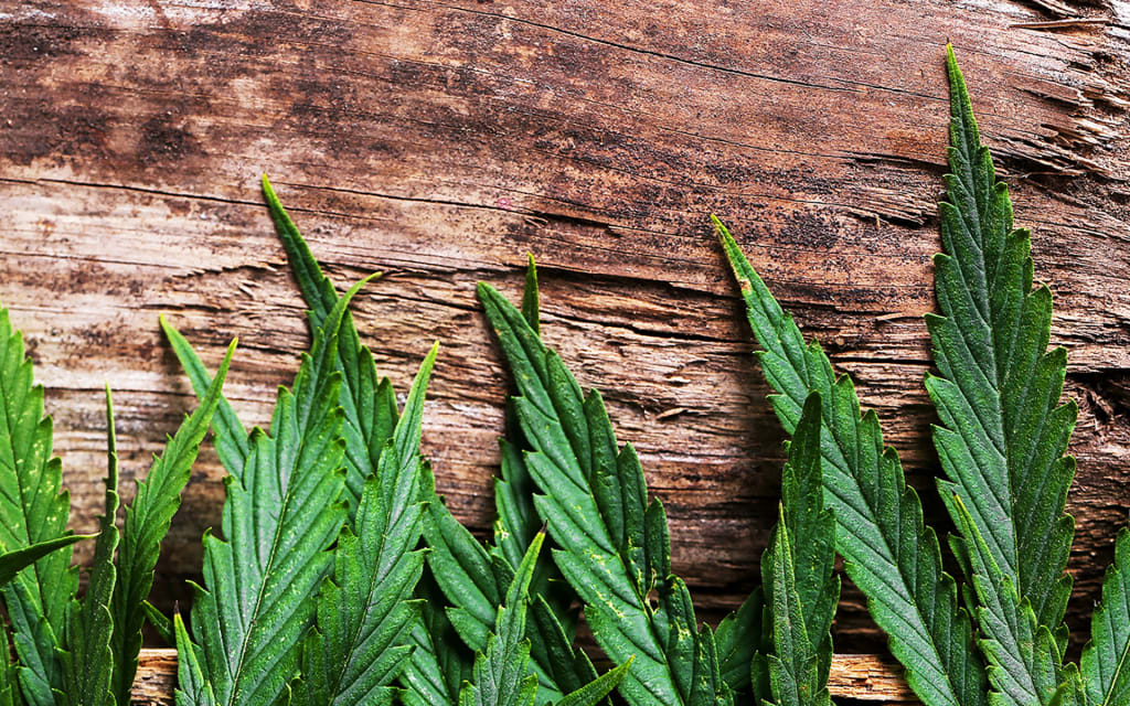 Why You Should Use All Natural Products to Smoke Weed Why You Should Use All Natural Products to Smoke Weed