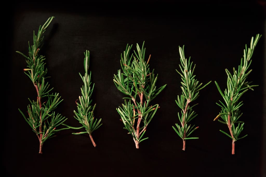 Rosemary and Grapefruit Shortbread Rosemary and Grapefruit Shortbread