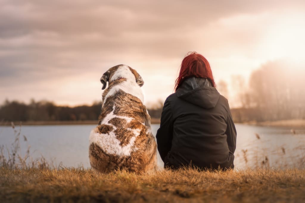 Is Your Dog Fat...? Is Your Dog Fat...?