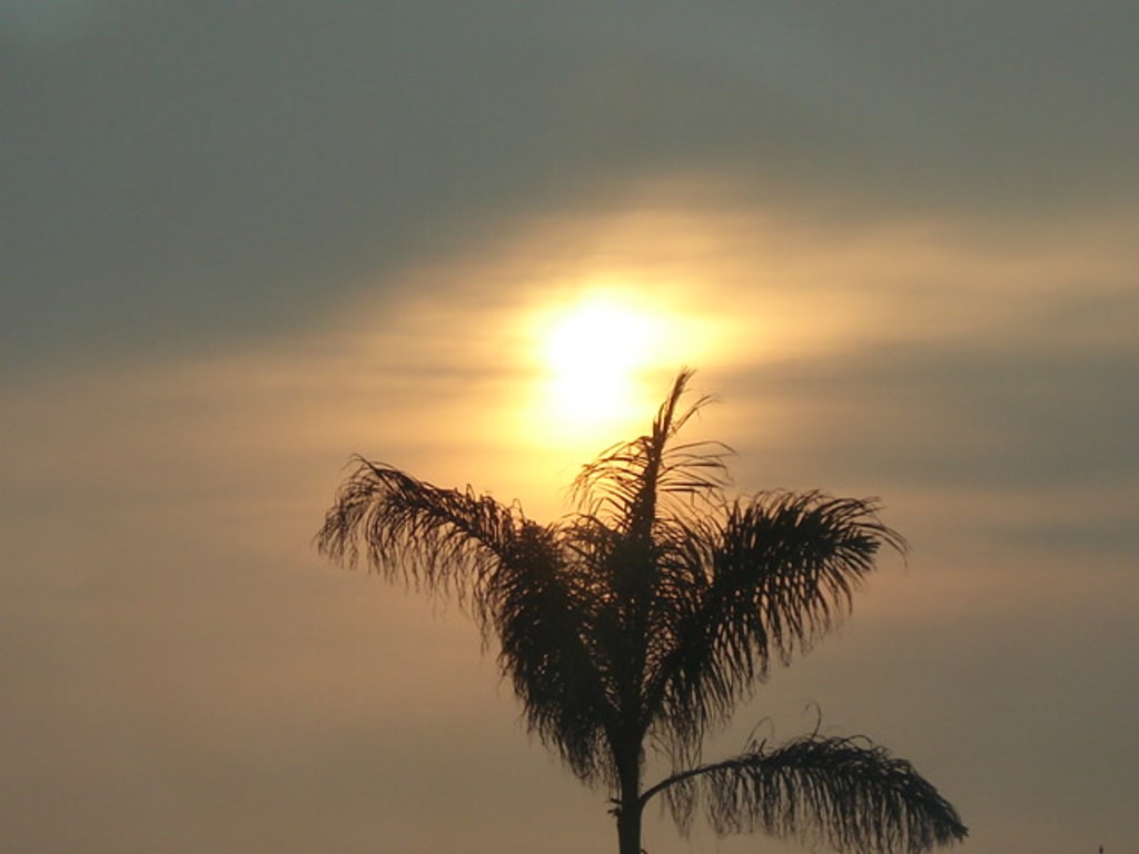 In the Mistimed Morning Hours In the Mistimed Morning Hours