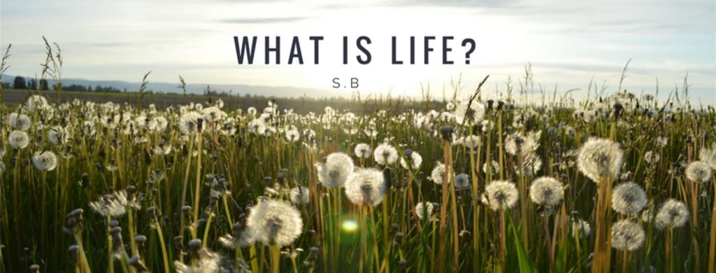 What Is Life? What Is Life?