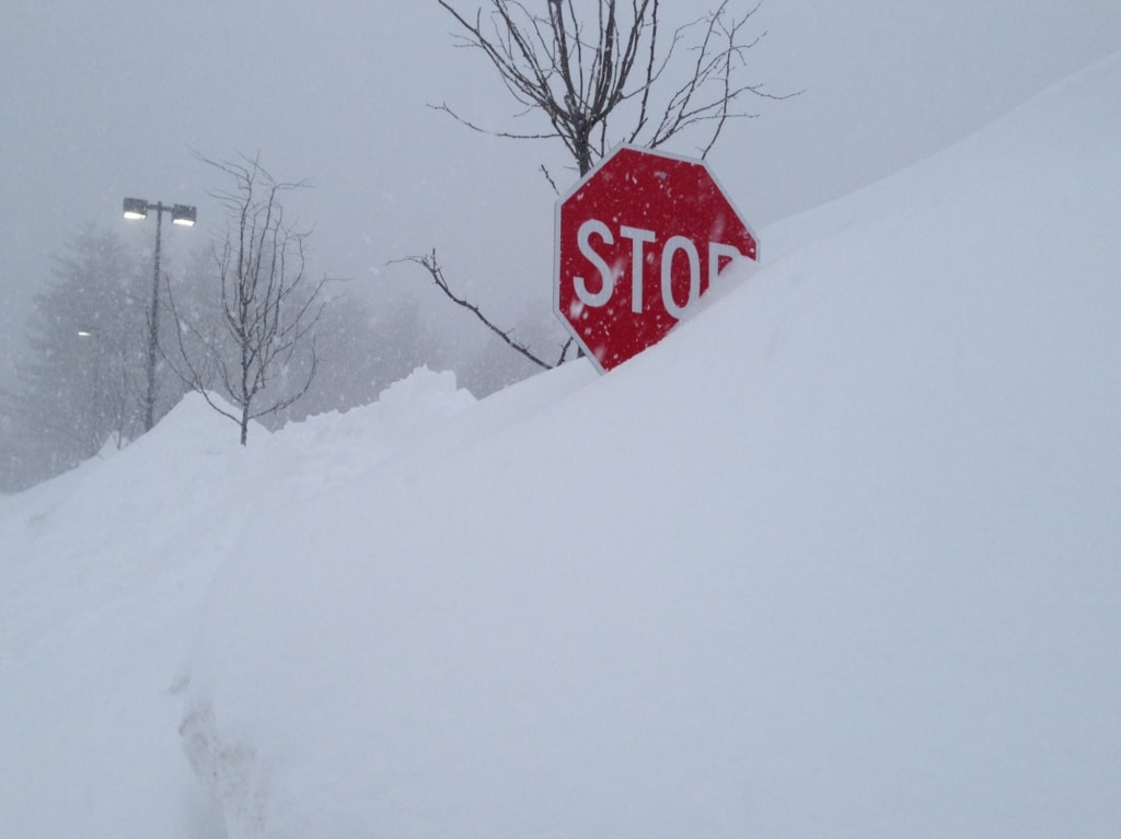 #MyWorstDate: High School, Snow, and Jellyfish #MyWorstDate: High School, Snow, and Jellyfish