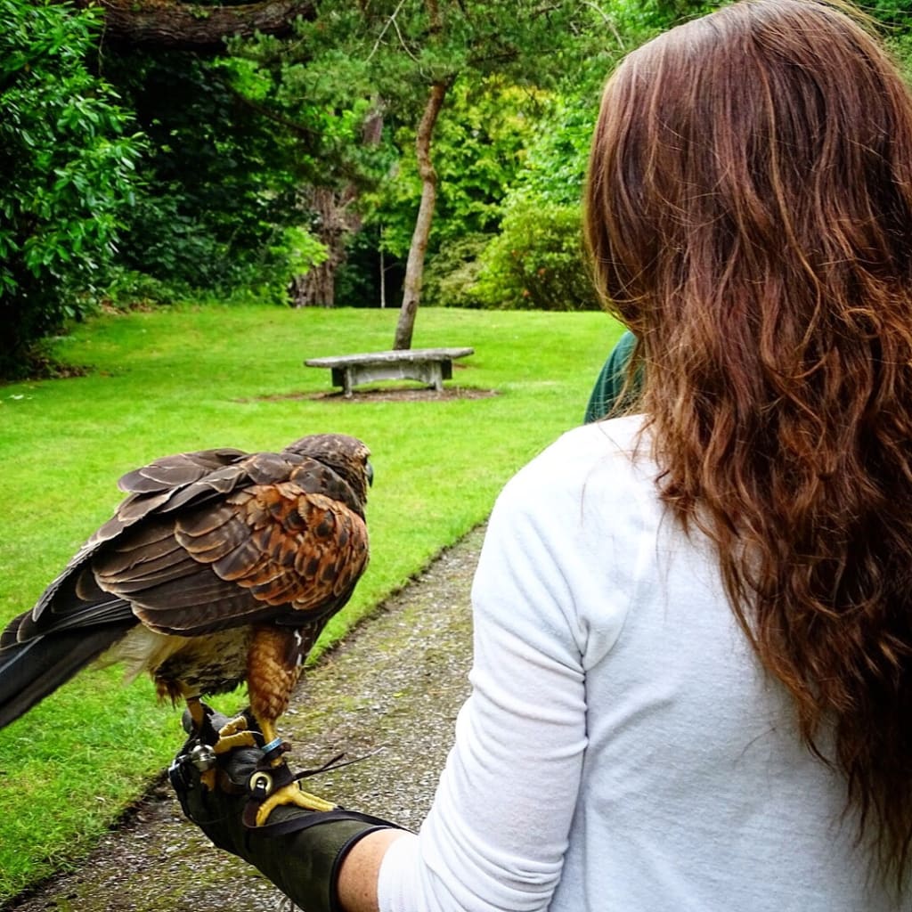 One Week in Ireland - Travel Guide One Week in Ireland - Travel Guide