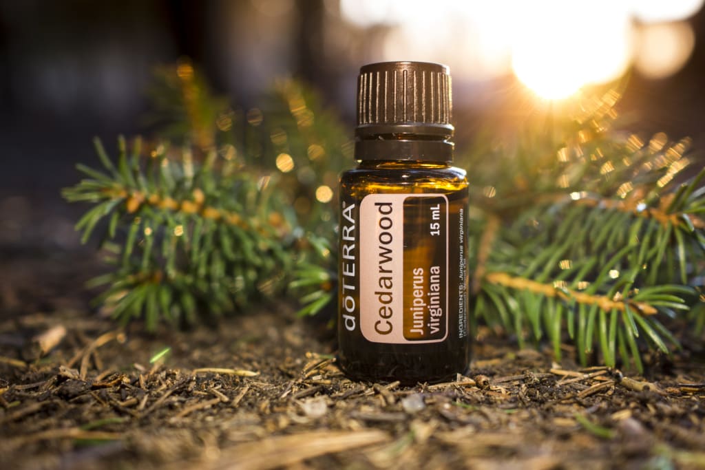 5 Ways to Use Cedarwood Oil 5 Ways to Use Cedarwood Oil