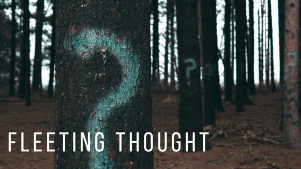 Fleeting Thought Fleeting Thought