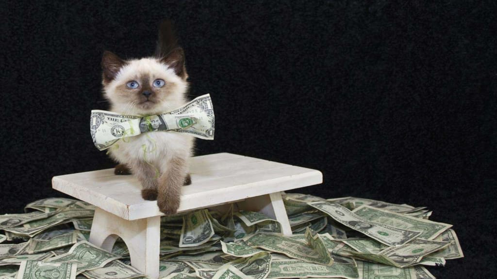 10 of the Richest Pets in World's History 10 of the Richest Pets in World's History