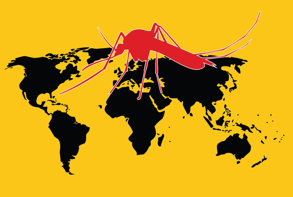 Zika, West Nile and Malaria..Oh My! Zika, West Nile and Malaria..Oh My!