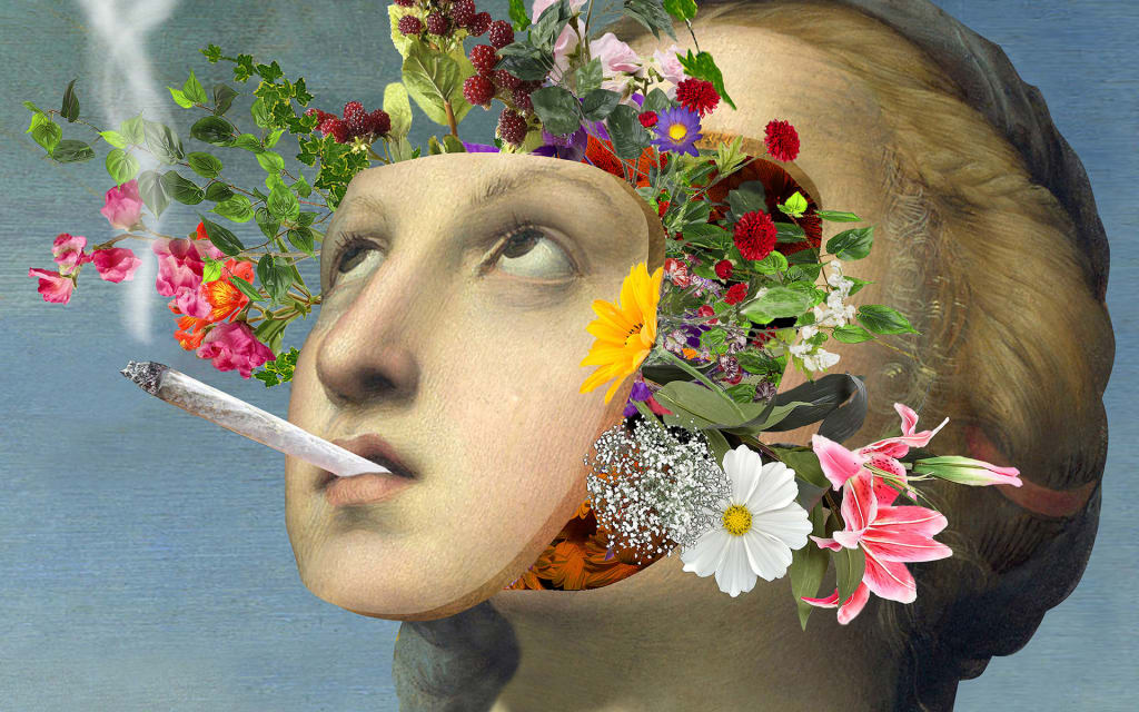 How Weed Affects Your 5 Senses How Weed Affects Your 5 Senses