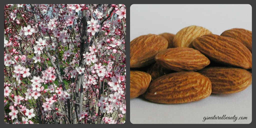 The Benefits Of Almond Oil For Skin And Hair The Benefits Of Almond Oil For Skin And Hair