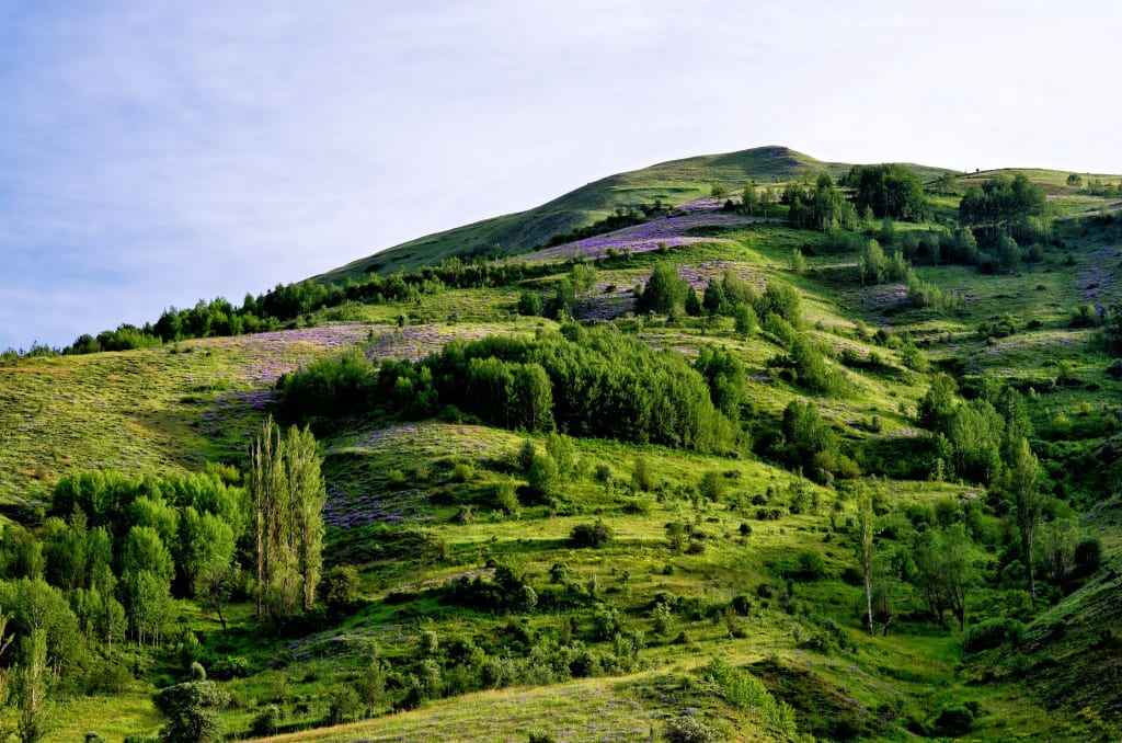 The Hill The Hill