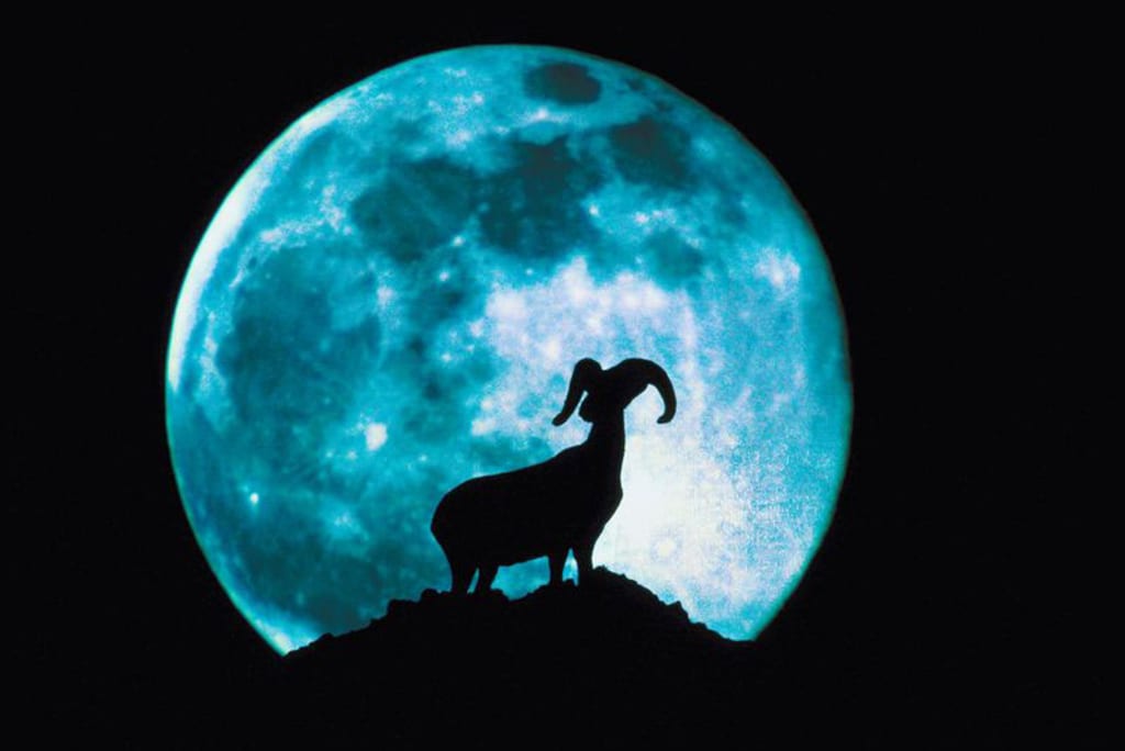 Full Moon Full Moon