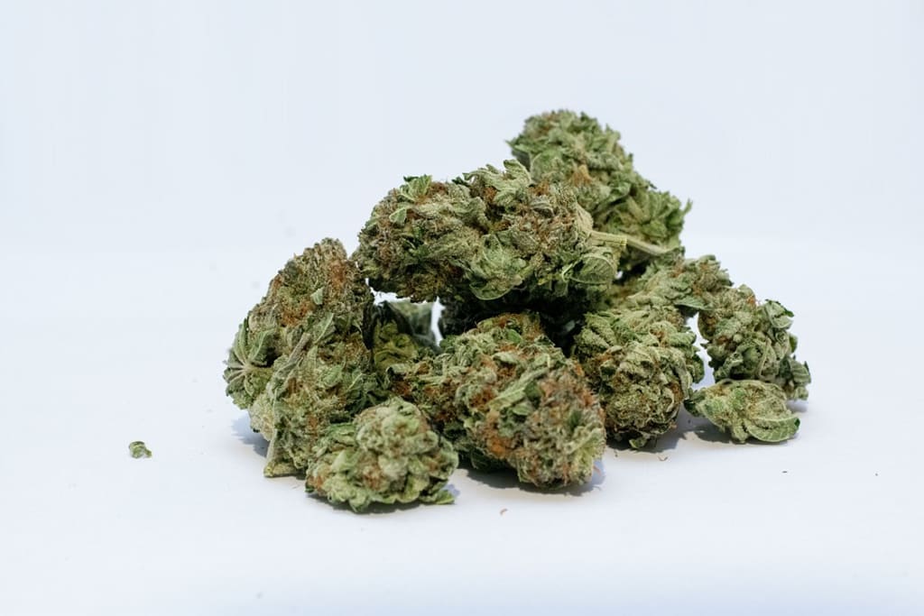 Let's Buy Some Weed! Let's Buy Some Weed!
