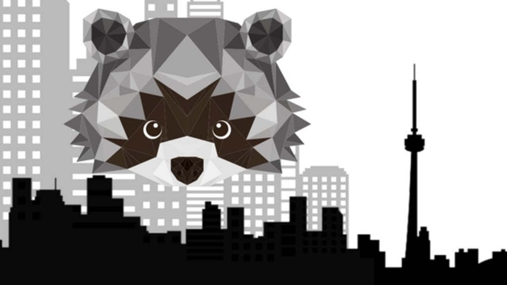 Raccoon City Raccoon City