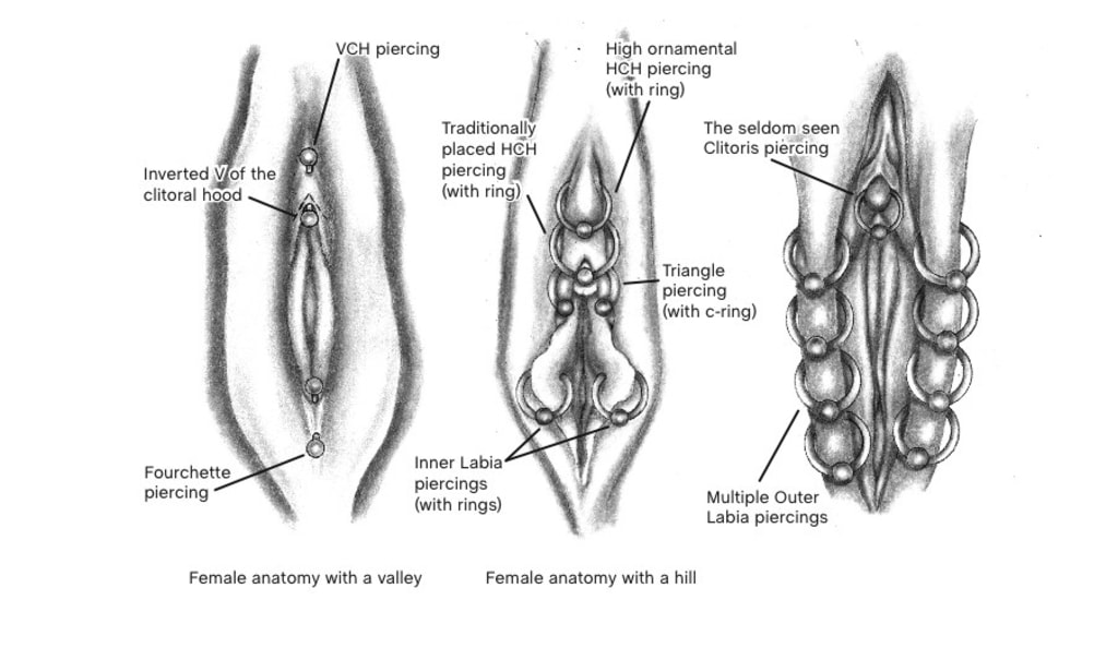 Piercing Placement Chart