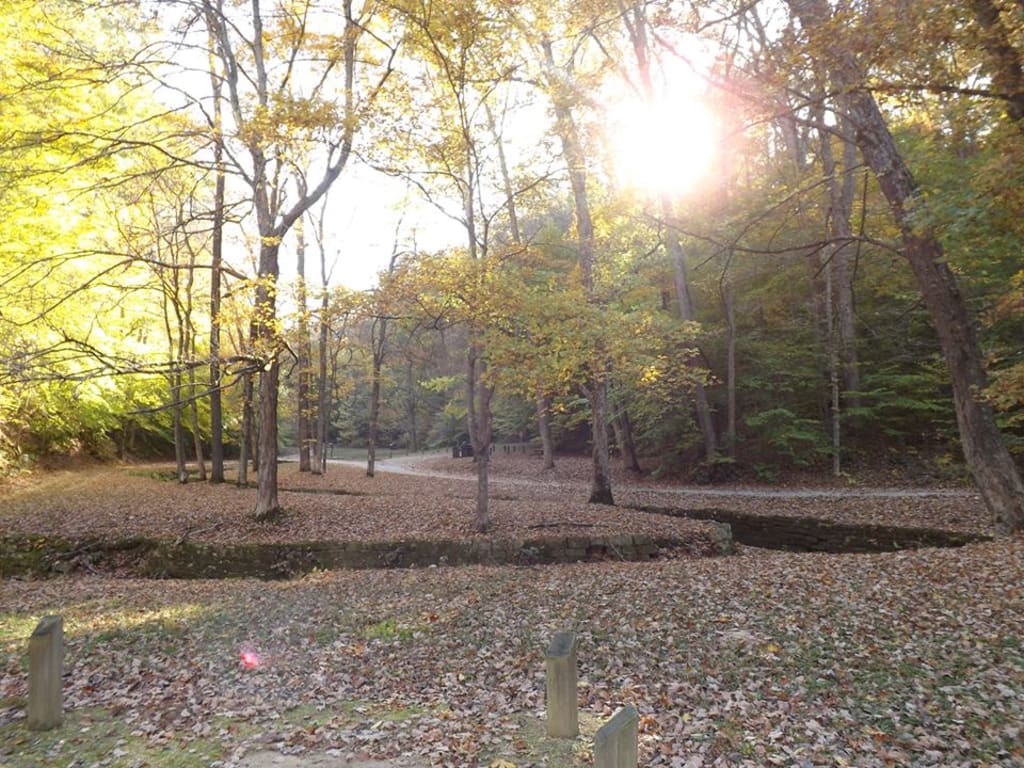 Fall Visitors Fall Visitors