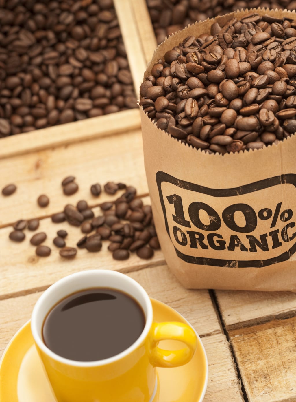 All About Organic Coffee How It's Made and the Benefits Feast