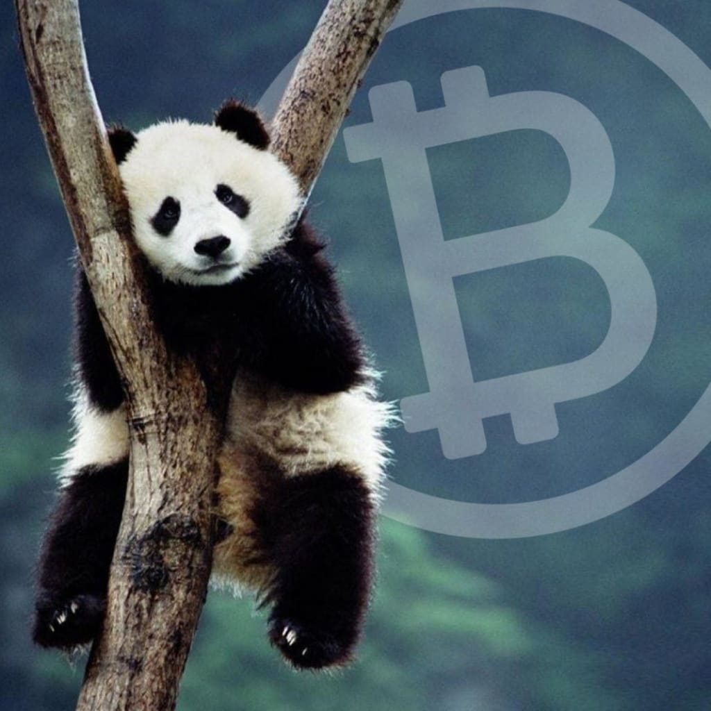 Types of Crypto Traders—Find Out Which One You Are Types of Crypto Traders—Find Out Which One You Are