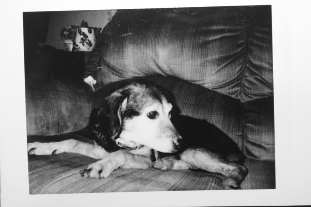 RIP Sadie May RIP Sadie May