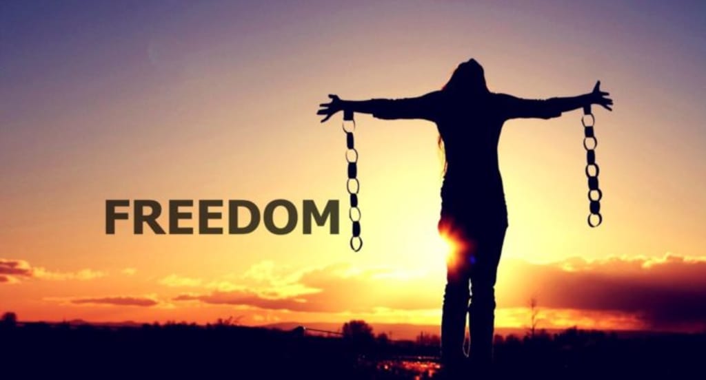 Freedom Freedom