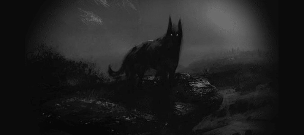 What Kind of Dog Is That?! What Kind of Dog Is That?!