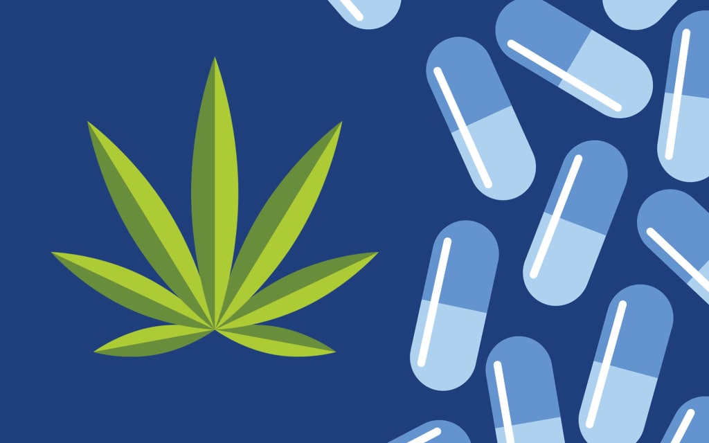 How You Can Use Cannabis to Reduce Opioid Dependence How You Can Use Cannabis to Reduce Opioid Dependence