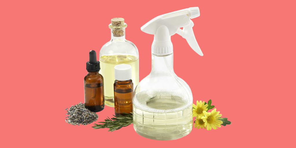 Antibacterial Essential Oils That Keep You Naturally Healthy Antibacterial Essential Oils That Keep You Naturally Healthy