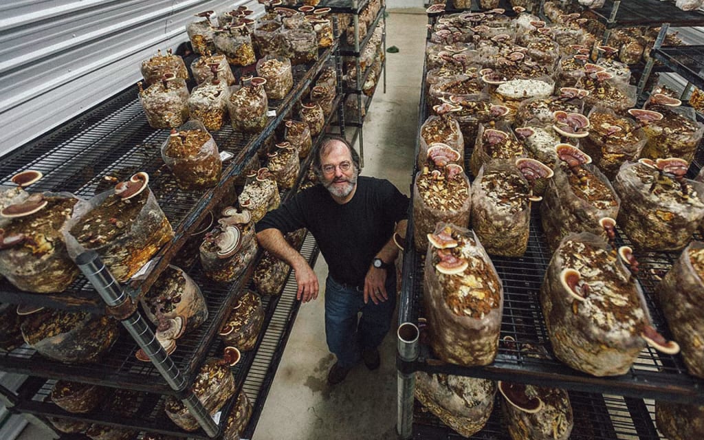 Mushroom Scientist Paul Stamets Interview Potent