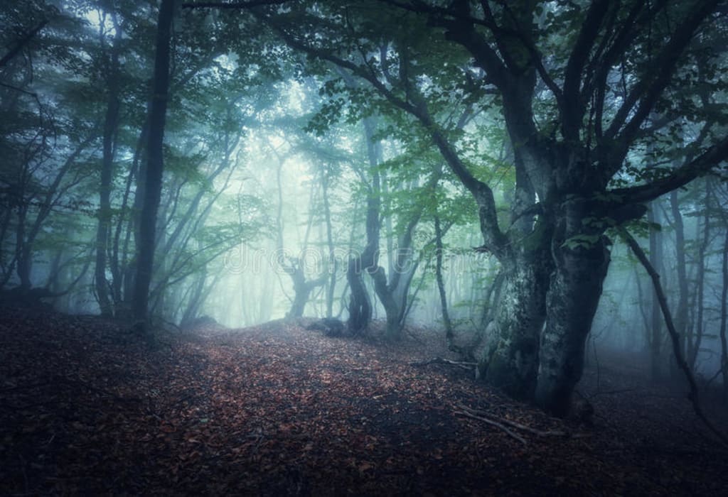 Precognitive Empath? Part I Precognitive Empath? Part I