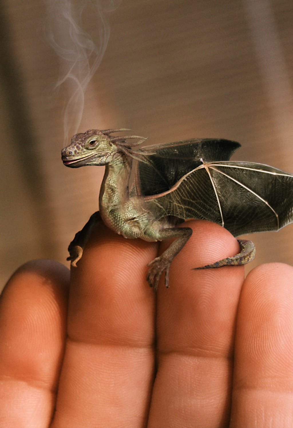 A Wee Scottish Dragon A Wee Scottish Dragon