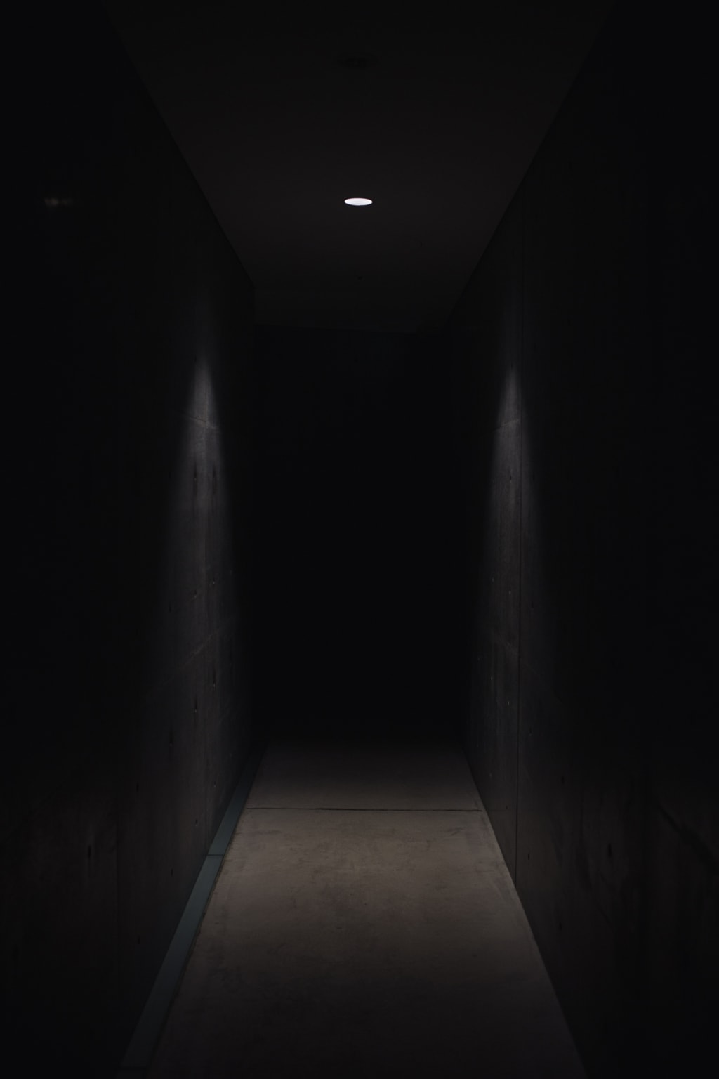 5 Best Animated Horror Storytellers 5 Best Animated Horror Storytellers