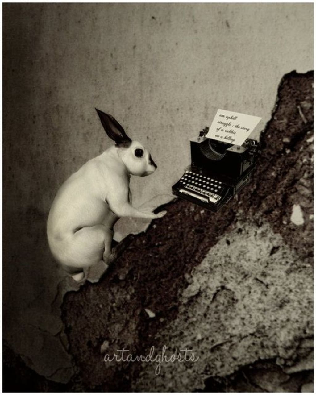 The Good Writer The Good Writer