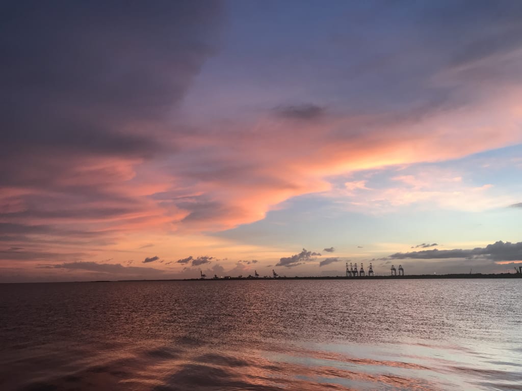 Beginner Photography Beginner Photography