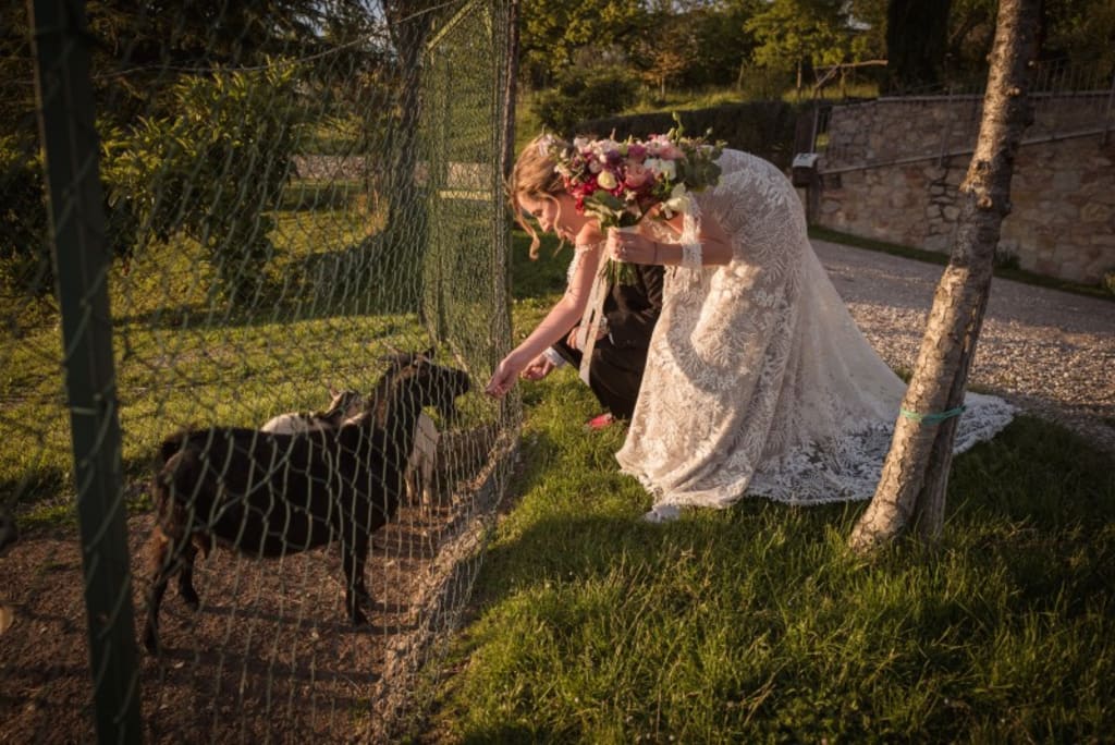 An Italian Wedding An Italian Wedding