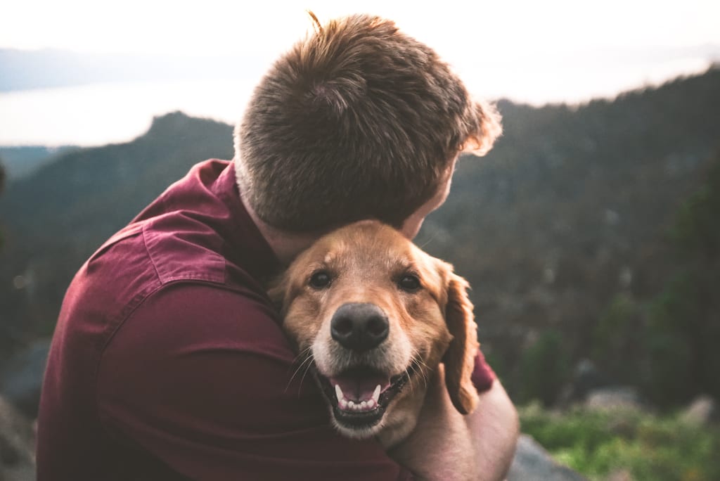 Healthy Pets Are Happy Pets Healthy Pets Are Happy Pets