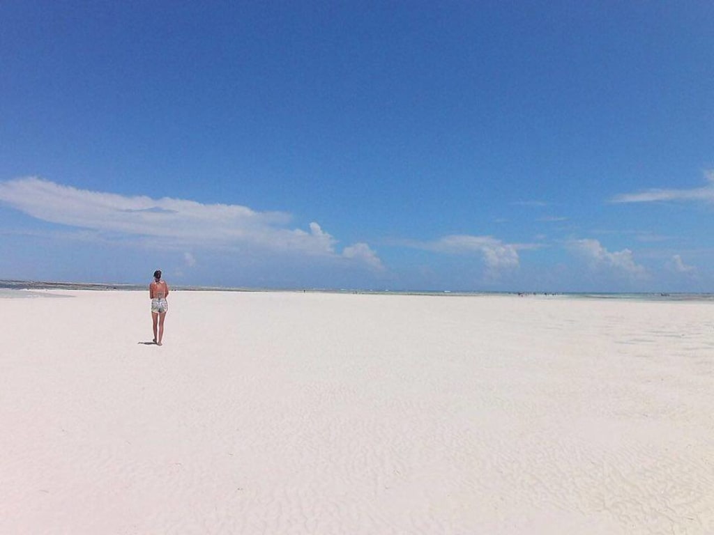 I Am a Wanderer I Am a Wanderer