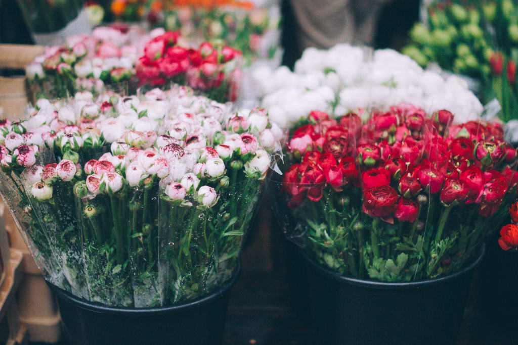5 Thoughtful Places to Shop for Your Empath on Etsy 5 Thoughtful Places to Shop for Your Empath on Etsy