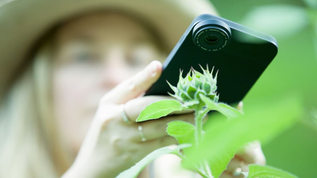 10 Tips for Shooting Macro Photography on Your iPhone 10 Tips for Shooting Macro Photography on Your iPhone