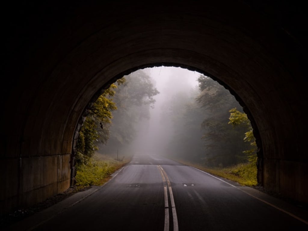 Into the Mist Into the Mist