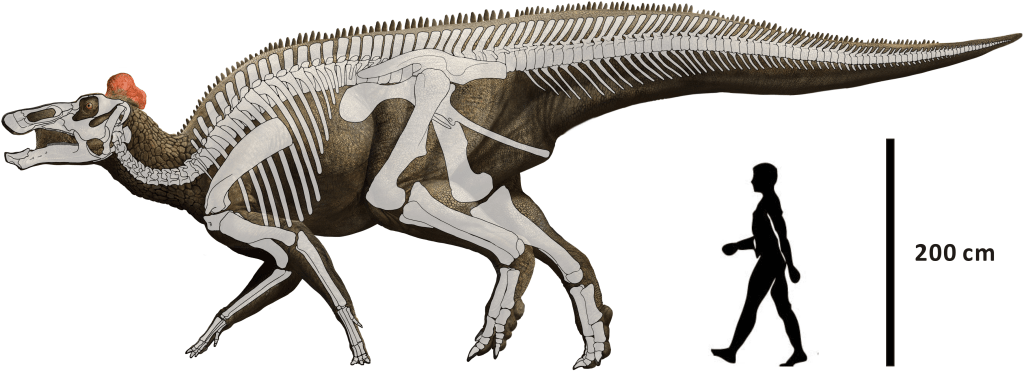 The Dead Zoo: Edmontosaurus The Dead Zoo: Edmontosaurus