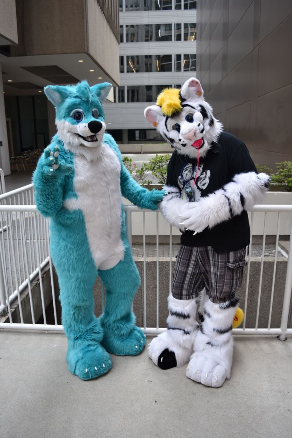 I'm A Furry...So? I'm A Furry...So?